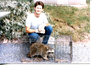 Raccoon Removal